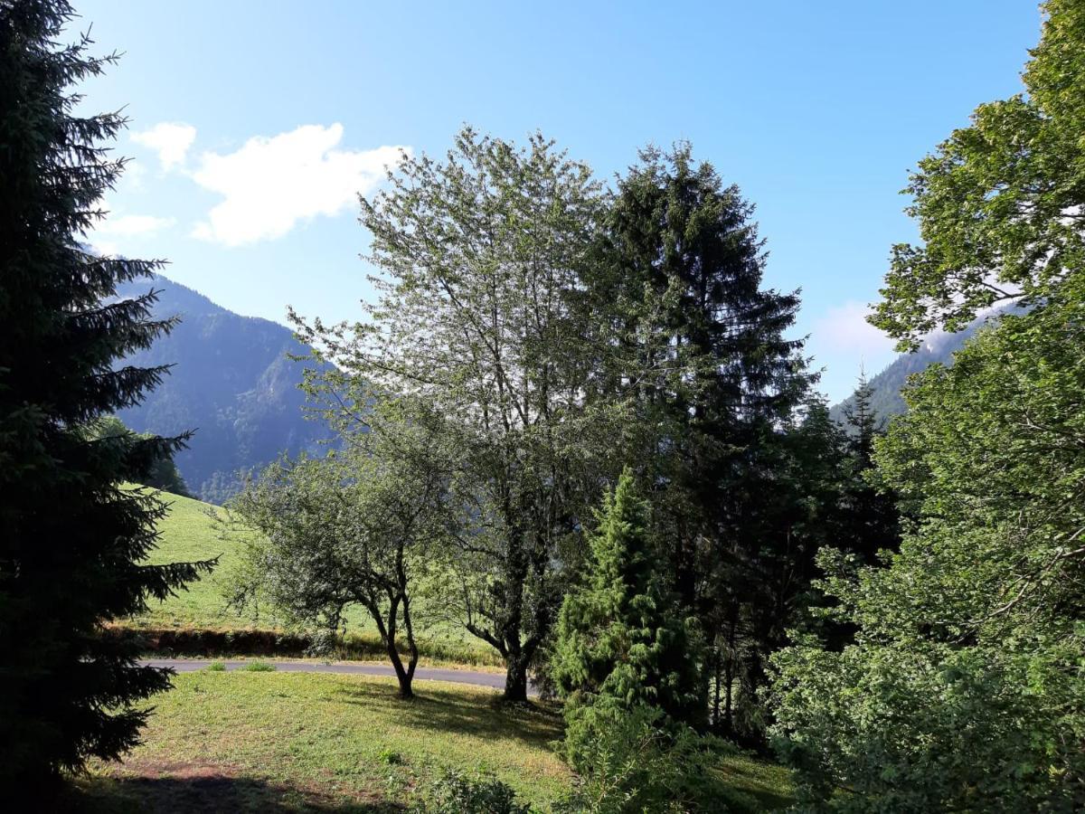Chalet Tante Emma Vacheresse Екстериор снимка
