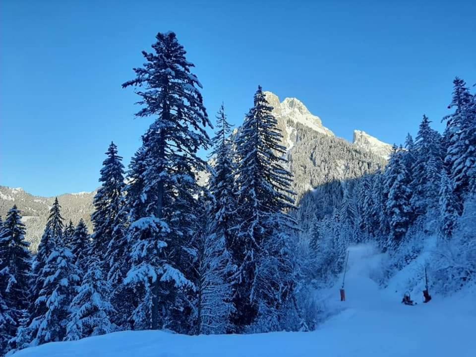 Chalet Tante Emma Vacheresse Екстериор снимка