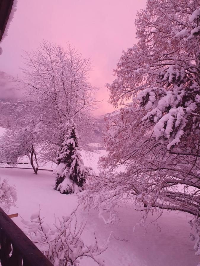 Chalet Tante Emma Vacheresse Екстериор снимка